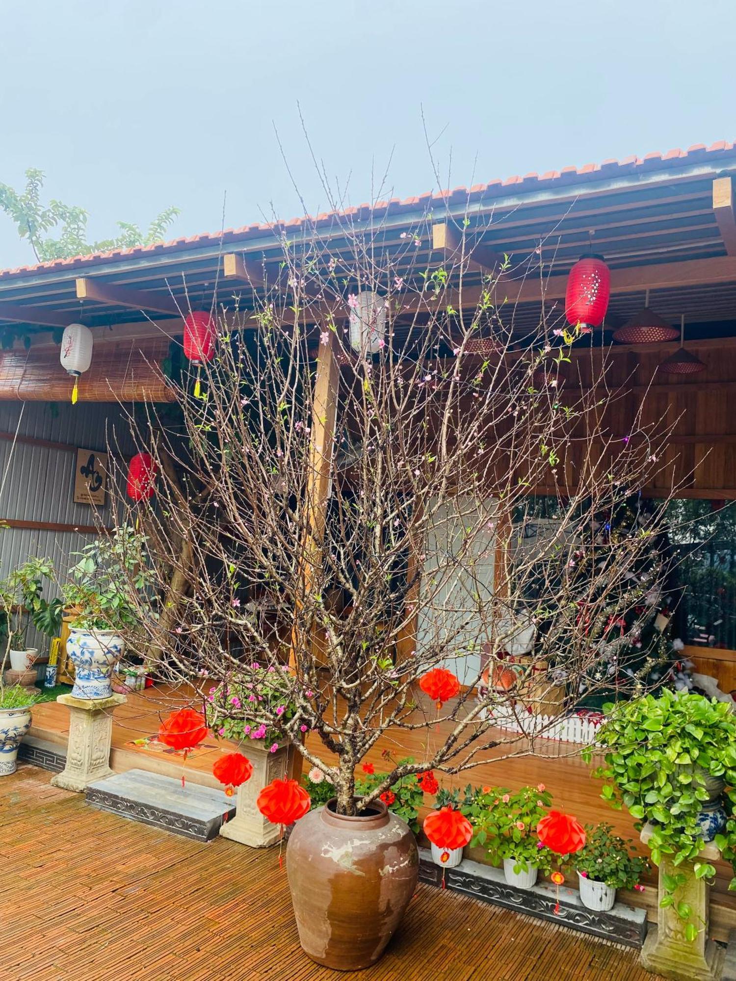 An Homestay Tam Coc Нин Бин Екстериор снимка